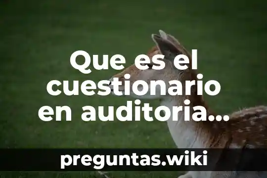 Que es el cuestionario en auditoria administrativa
