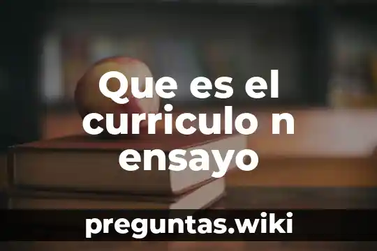 Que es el curriculo n ensayo