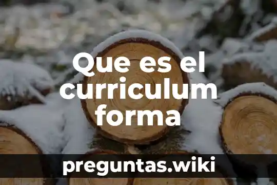 Que es el curriculum forma