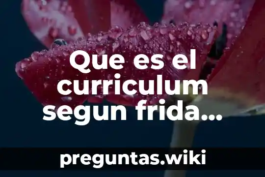 Que es el curriculum segun frida diaz barriga