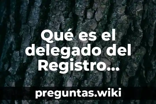 Qué es el delegado del Registro Público de la Propiedad