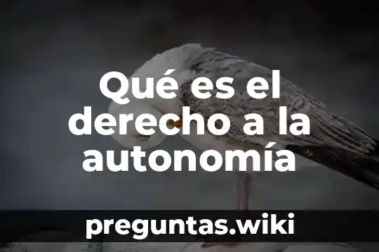 Qué es el derecho a la autonomía