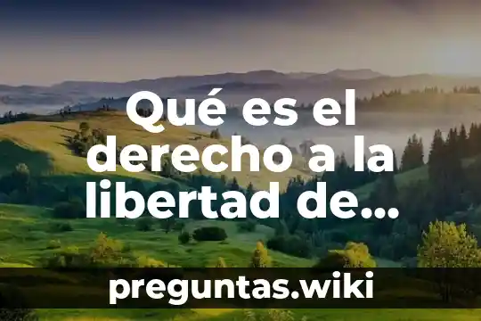 Qué es el derecho a la libertad de tránsito y residencia