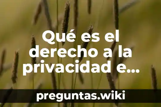 Qué es el derecho a la privacidad e intimidad