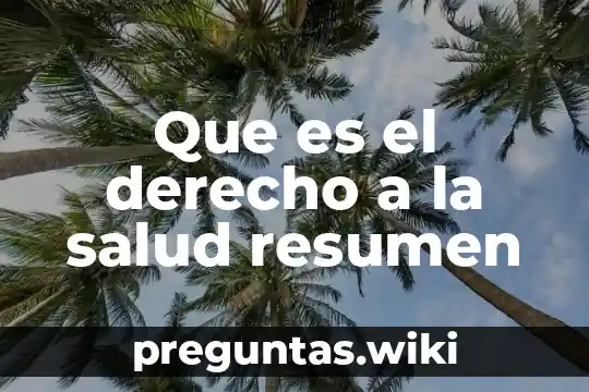 Que es el derecho a la salud resumen