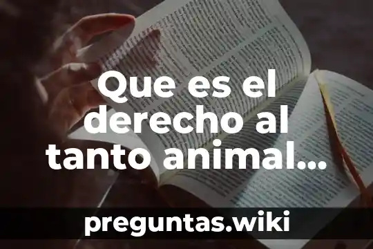 Que es el derecho al tanto animal politico