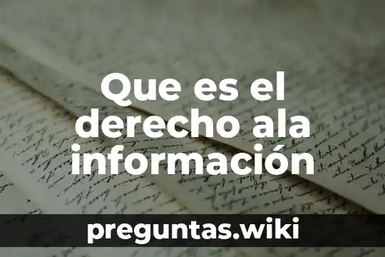 Que es el derecho ala información