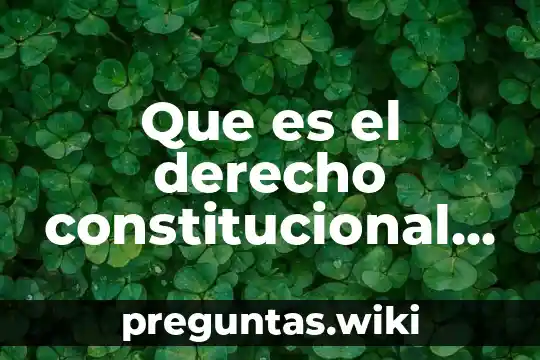 Que es el derecho constitucional segun carl schmitt