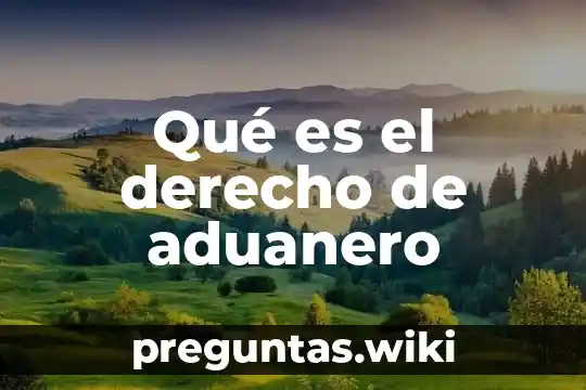 Qué es el derecho de aduanero