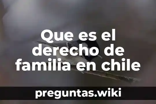 Que es el derecho de familia en chile