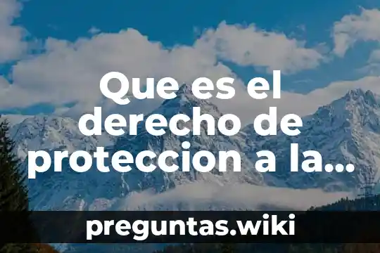 Que es el derecho de proteccion a la familia