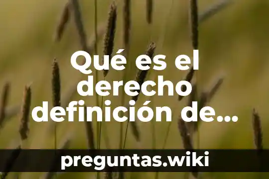Qué es el derecho definición de derecho