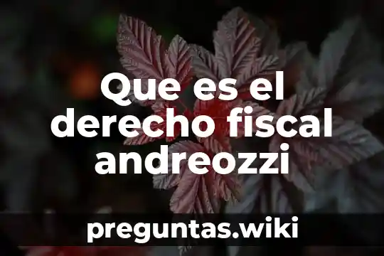 Que es el derecho fiscal andreozzi