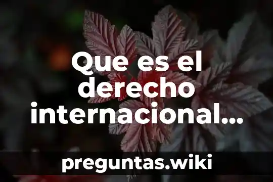 Que es el derecho internacional vigente 2016