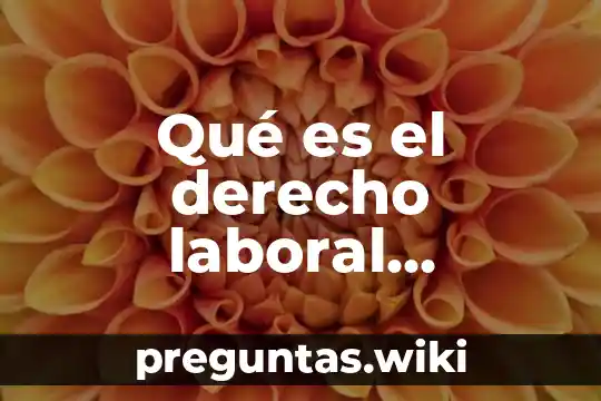 Qué es el derecho laboral ejemplos