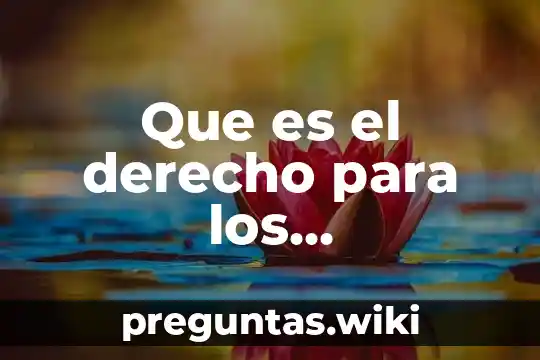 Que es el derecho para los iusnaturalistas