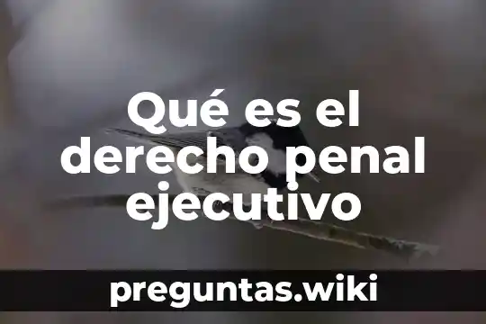 Qué es el derecho penal ejecutivo