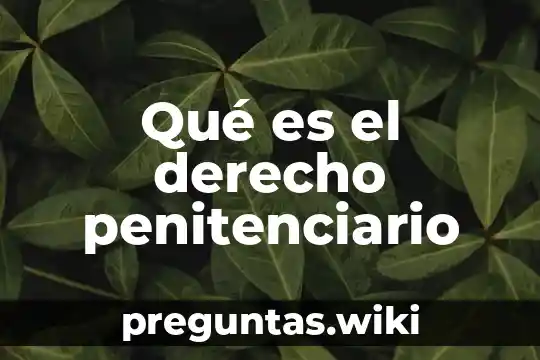 Qué es el derecho penitenciario