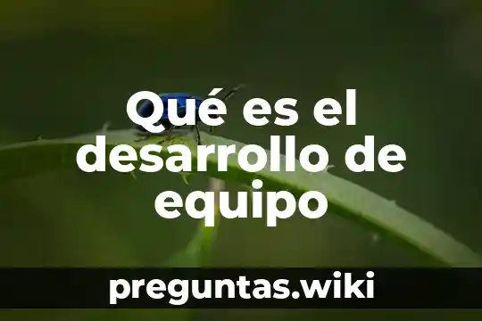 Qué es el desarrollo de equipo