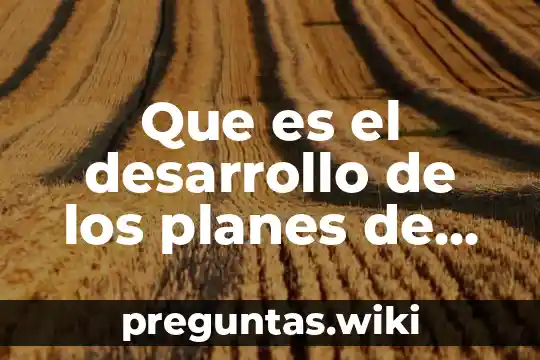 Que es el desarrollo de los planes de vida