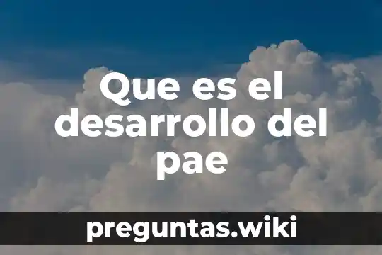 Que es el desarrollo del pae