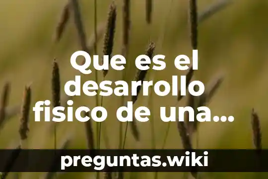 Que es el desarrollo fisico de una persona