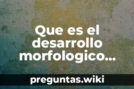 Que es el desarrollo morfologico prenatal