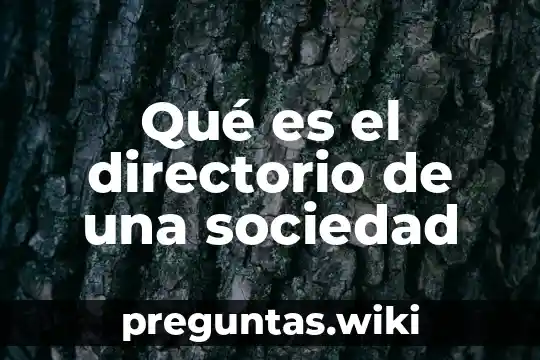 Qué es el directorio de una sociedad