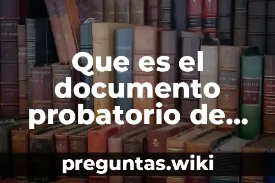 Que es el documento probatorio de identidad del solicitante