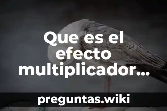 Que es el efecto multiplicador del gasto
