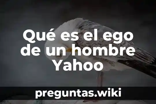 Qué es el ego de un hombre Yahoo
