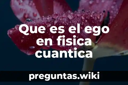 Que es el ego en fisica cuantica