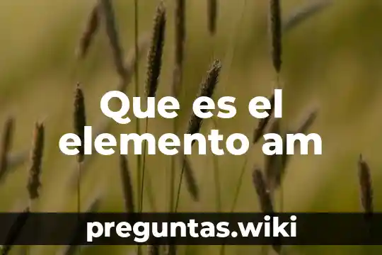 Que es el elemento am
