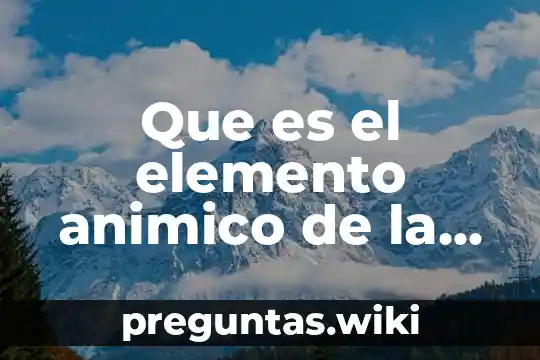 Que es el elemento animico de la costumbre