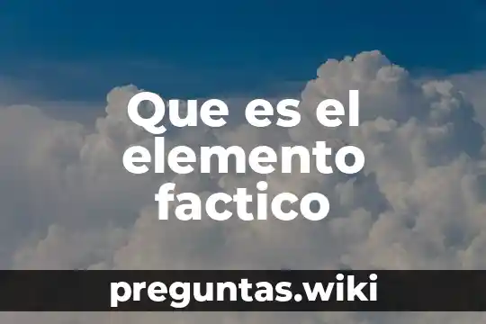 Que es el elemento factico