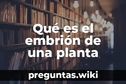 Qué es el embrión de una planta
