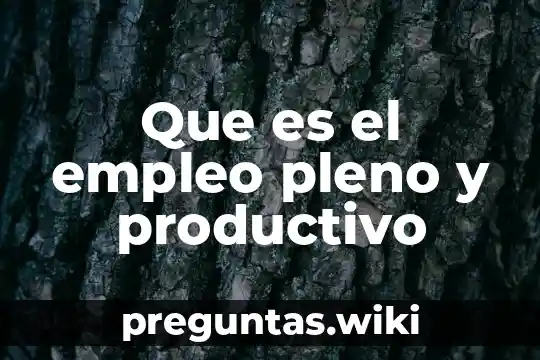 Que es el empleo pleno y productivo