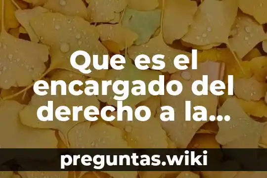 Que es el encargado del derecho a la educacion