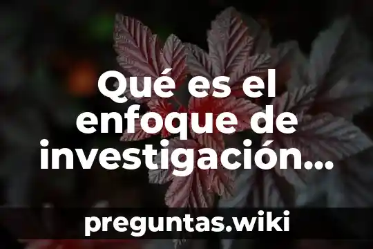 Qué es el enfoque de investigación según autores