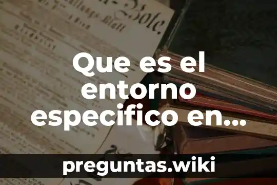 Que es el entorno especifico en software de reconocimiento facial