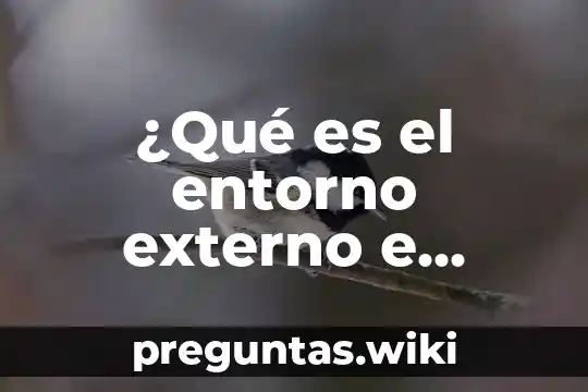 ¿Qué es el entorno externo e interno de una empresa?