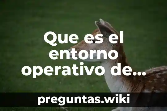 Que es el entorno operativo de un sistema