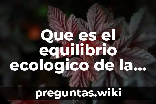 Que es el equilibrio ecologico de la sociedad