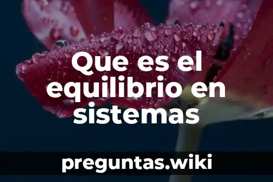 Que es el equilibrio en sistemas