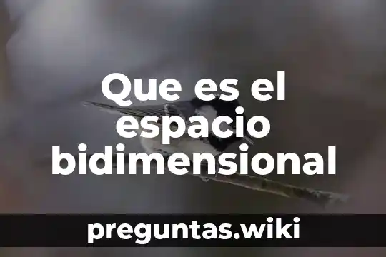 Que es el espacio bidimensional