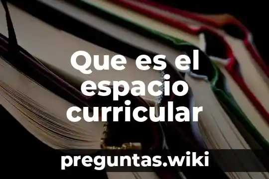 Que es el espacio curricular