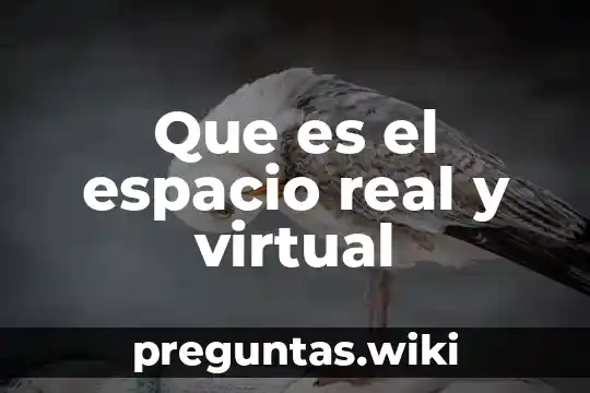 Que es el espacio real y virtual