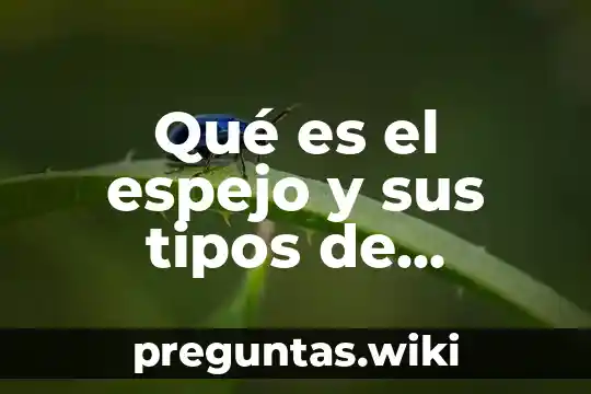 Qué es el espejo y sus tipos de espejos