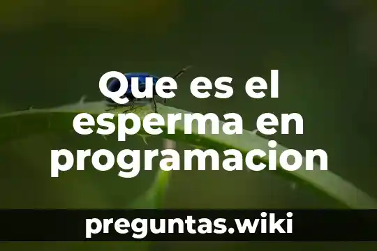 Que es el esperma en programacion