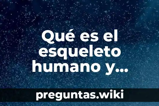 Qué es el esqueleto humano y cuántos huesos tiene